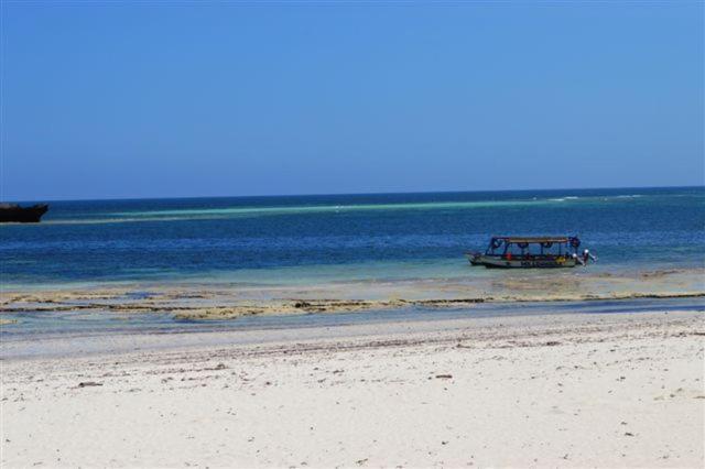 וואטאמו Turtle Bay Beach Club מראה חיצוני תמונה